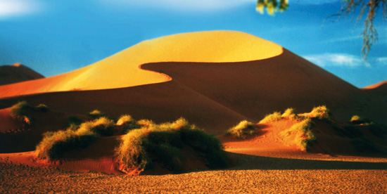 Fachexkursion Namibia, 2009 Namibia, Wüste