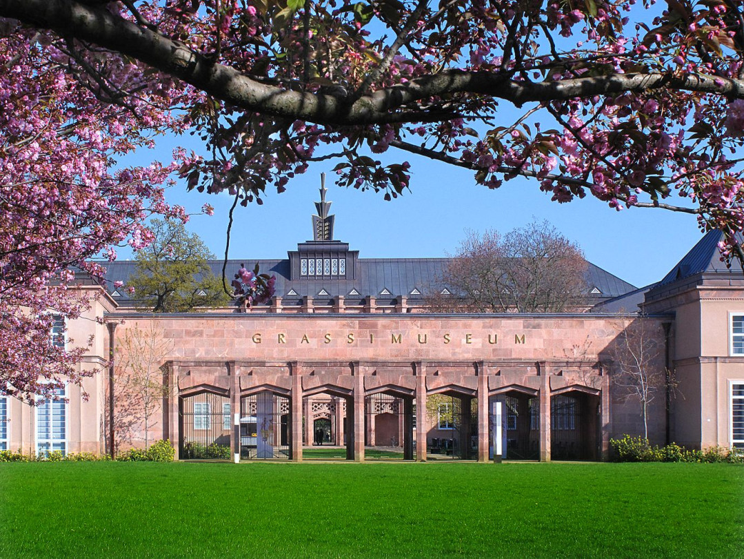 Kirschblüte vorm Grassimuseum c Helga Schulze Brinkop