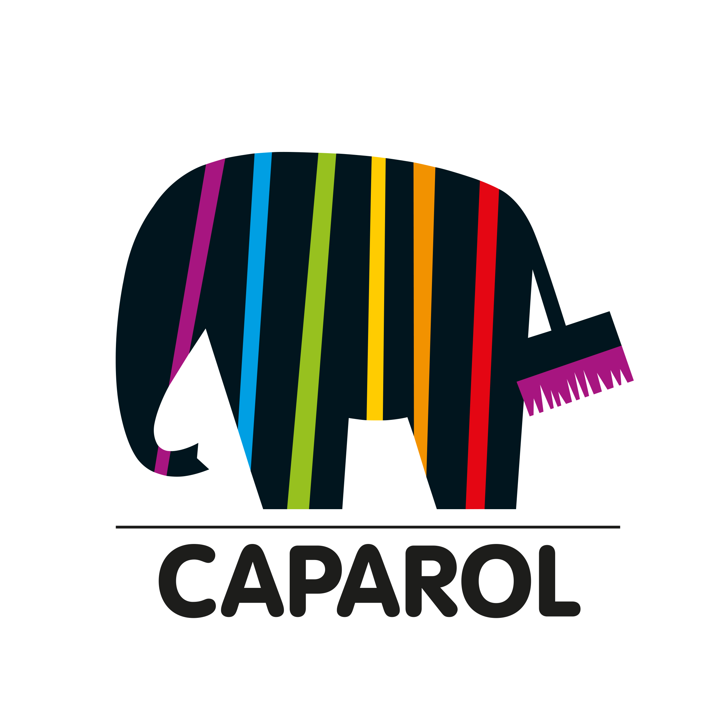 CAPAROL Farben Lacke Bautenschutz GmbH 