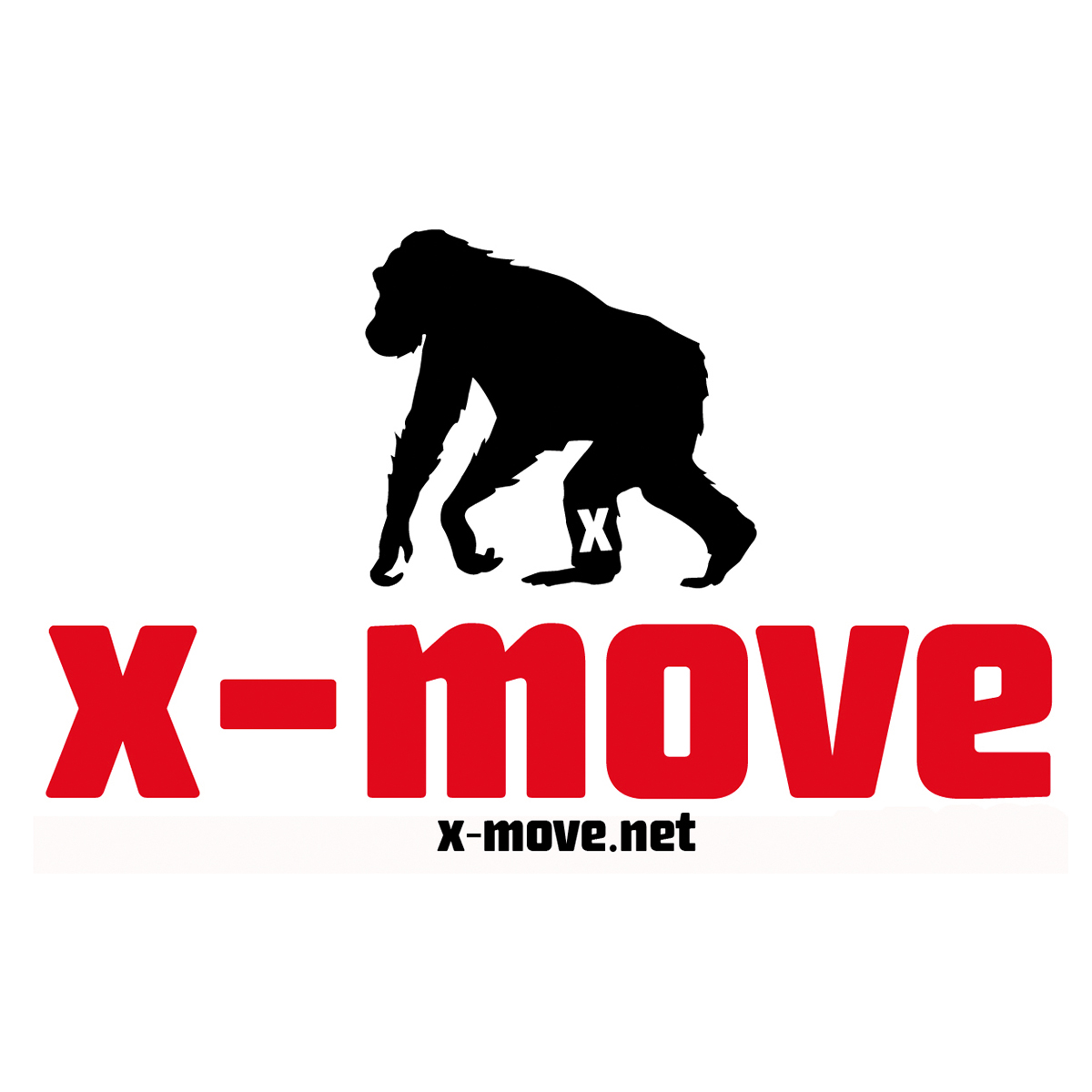 X-MOVE GmbH