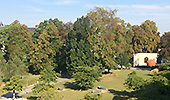 DAI Tag 2016 in Aschersleben